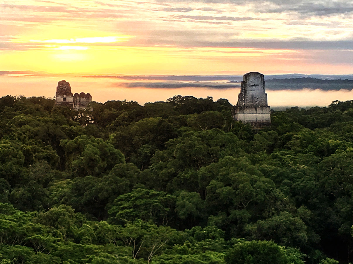 Tikal Maya Ruins Tour In Peten Guatemala From Belize City Belize Tours