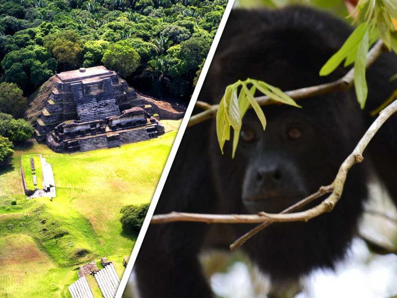 Belize Tours Marketplace - Shop independent local tours by local operators in Belize.